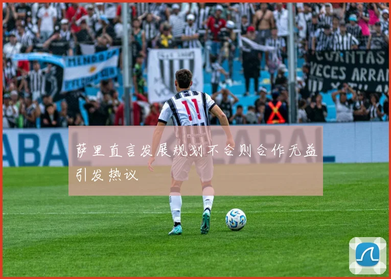 萨里直言发展规划不合则合作无益引发热议